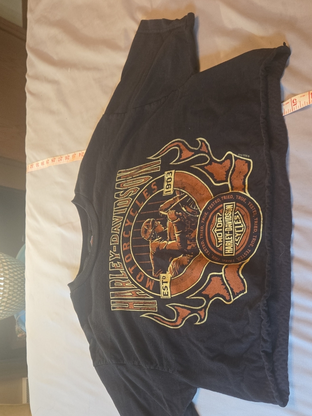 Harley-Davidson Black Crop Top with Orange and Cream Flame Graphic